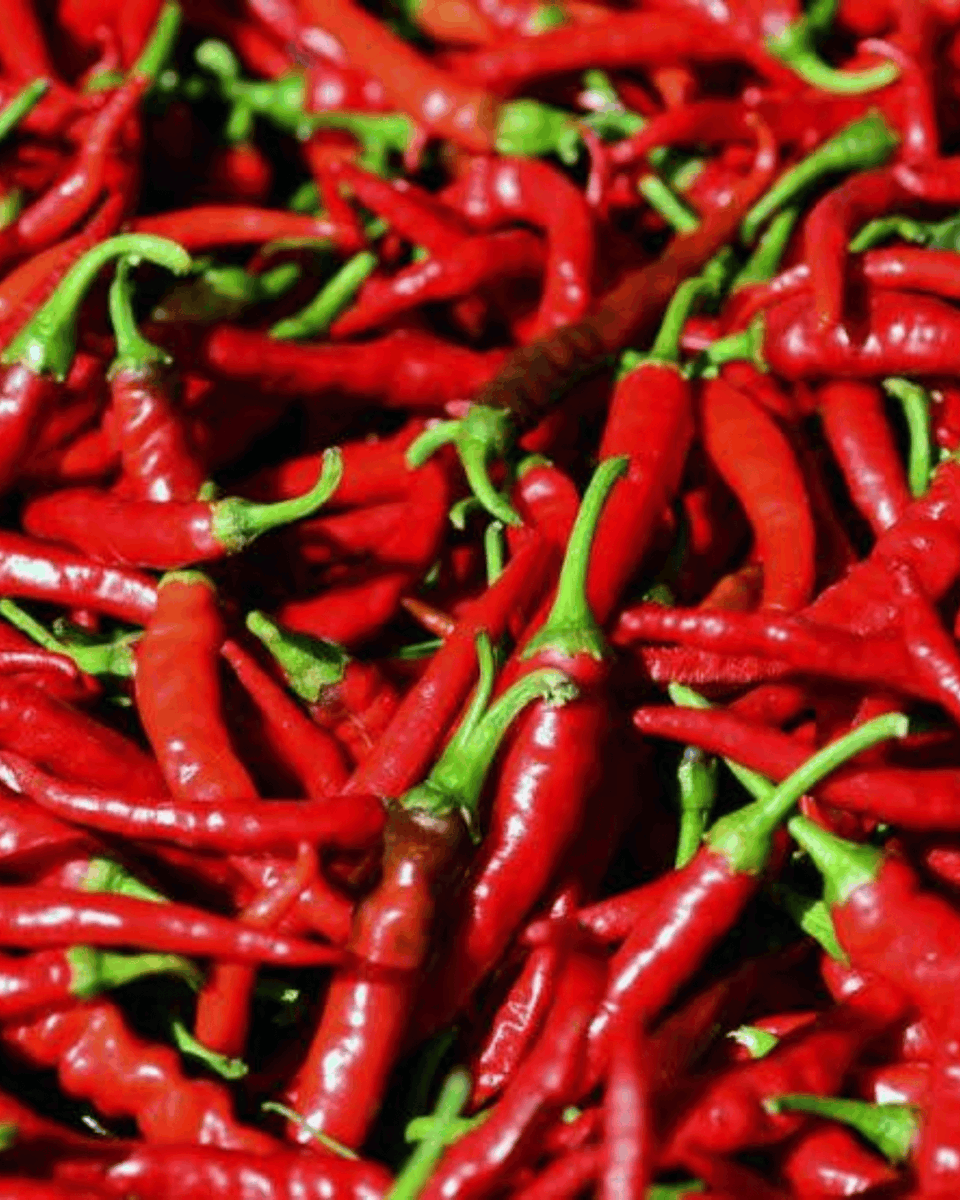 drkasenene's tweet image. Spicy foods help to control your appetite and keep you satiated. A study showed that people who ate spicy food consumed less calories than those who ate less spicy food. 

Add some chilli/pepper spices to your food every now and then. #healthtips