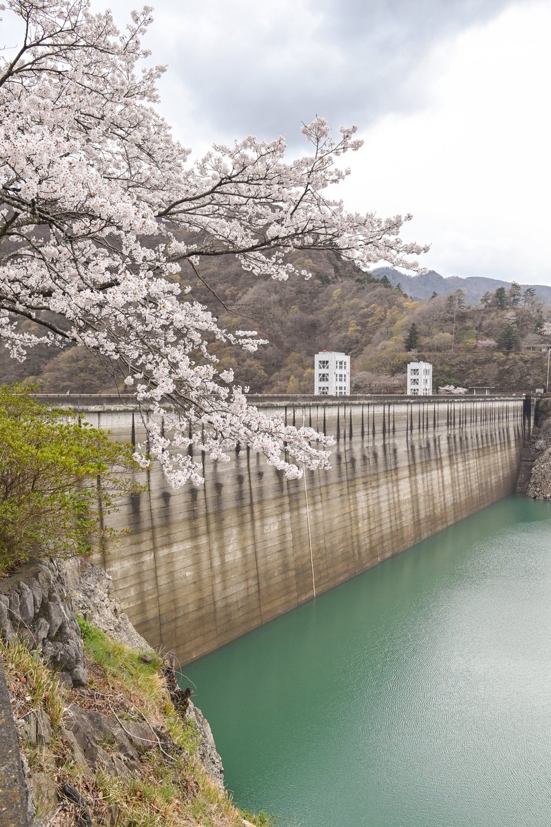 奥多摩ドライブ！

今年最後の桜ドライブかな〜
また来年🌸