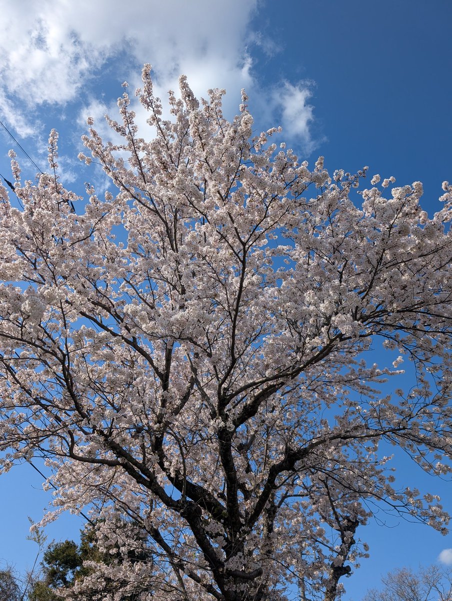 負傷中チョロ松氏 tweet media