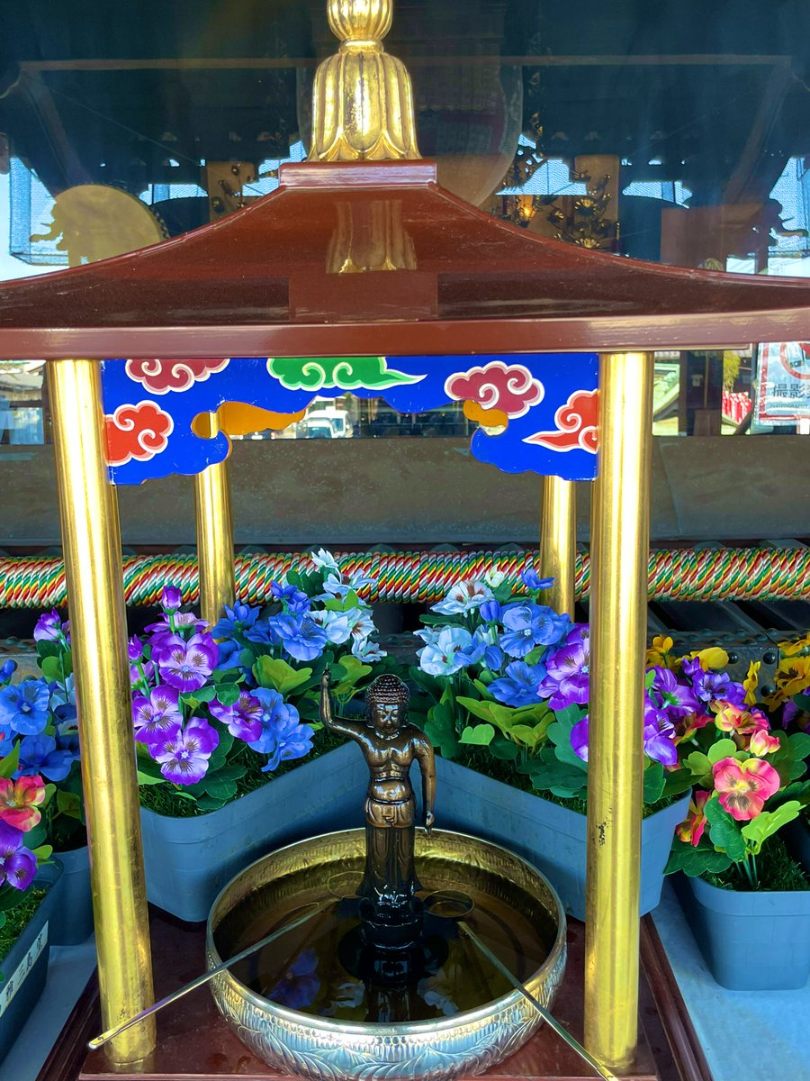 宝歩のポノ tweet media