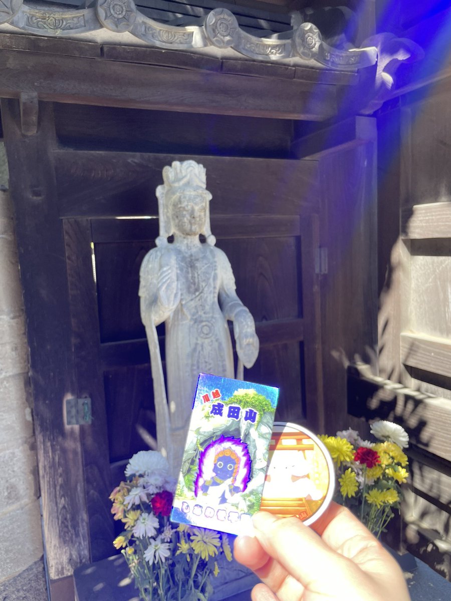 宝歩のポノ tweet media