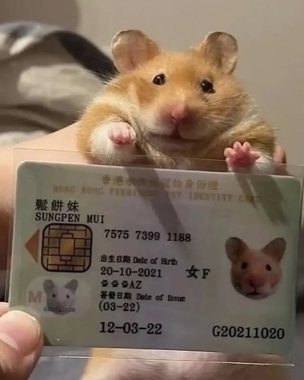 Antidepressant Content tweet media