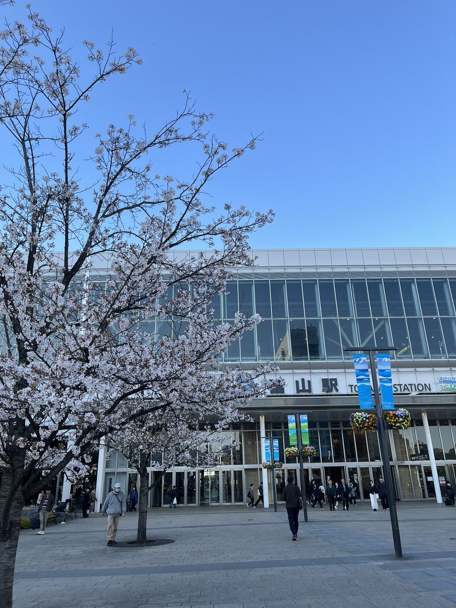 Master Wato（池田市スポーツ親善大使） tweet media