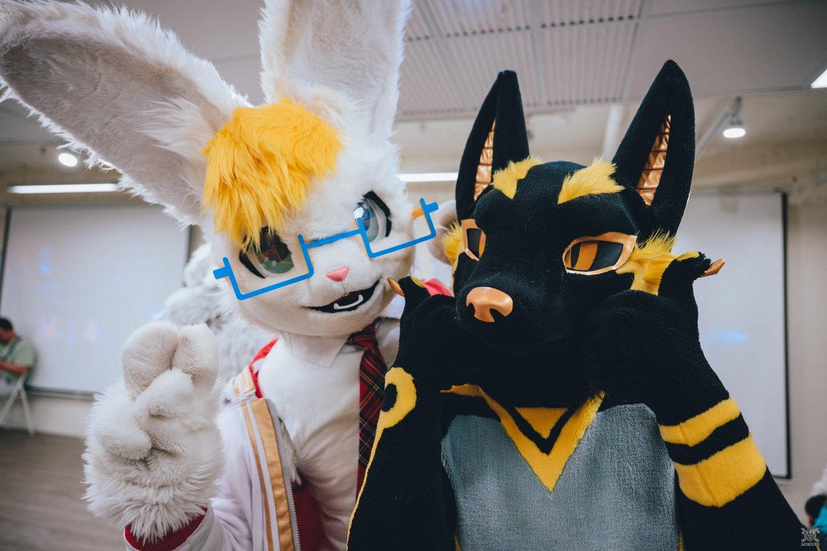Having rabbit for dinner sounds like a good idea. 👍😋👍 📷： @VinTheCoyote ...