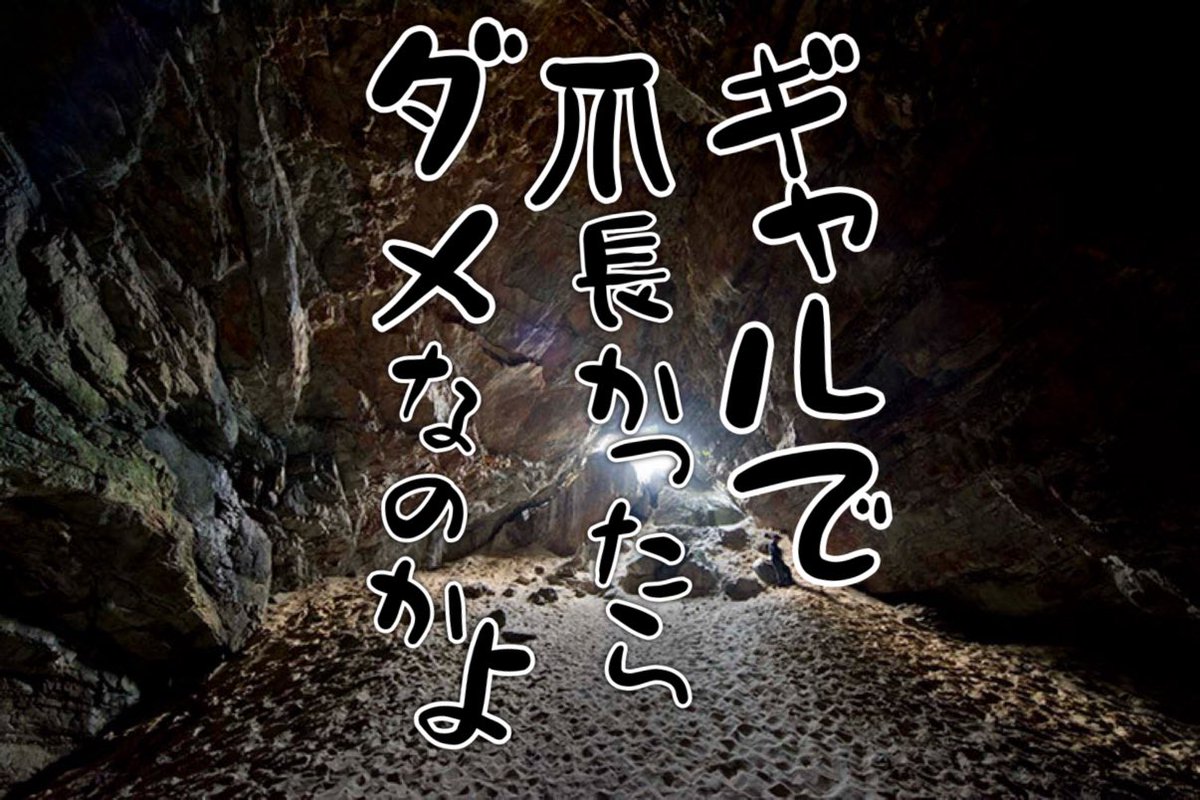 かまじい tweet media