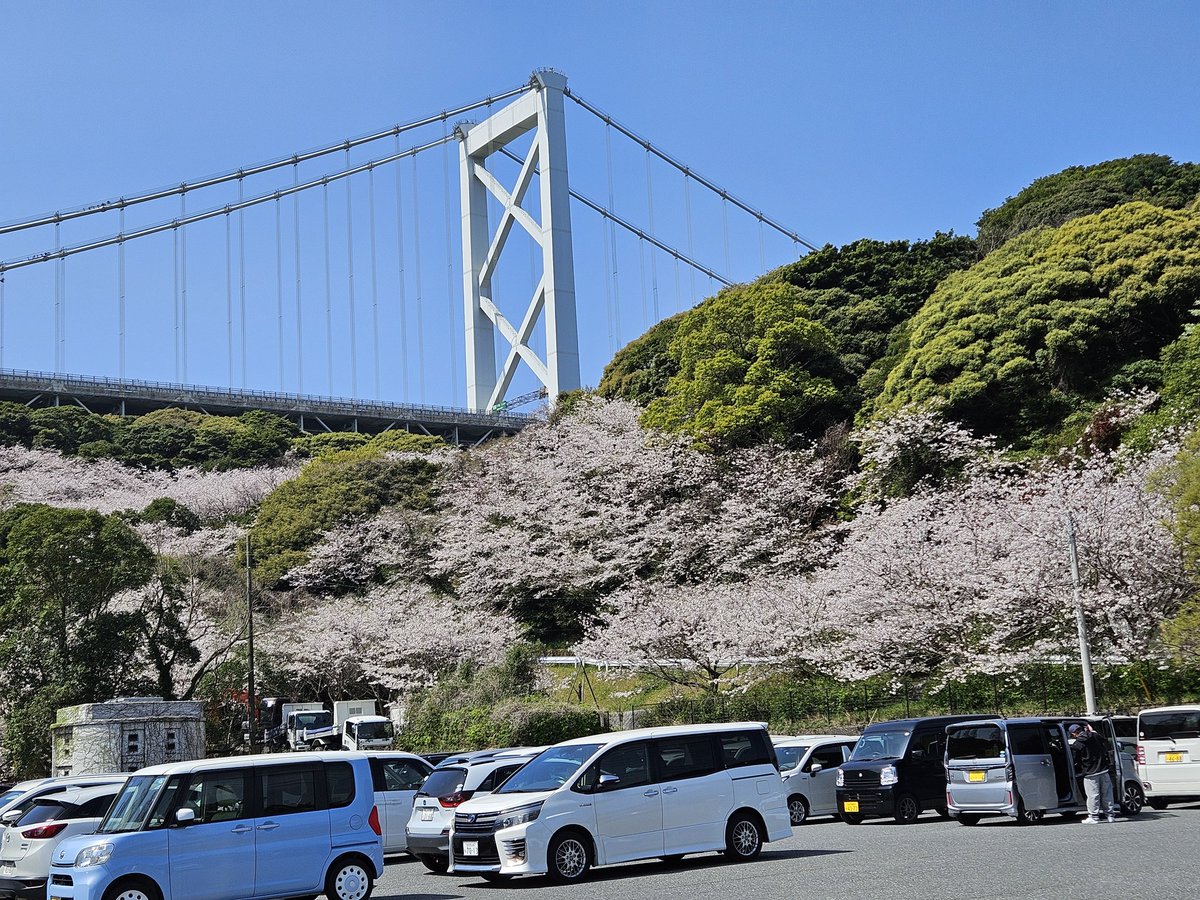 則天去私 tweet media