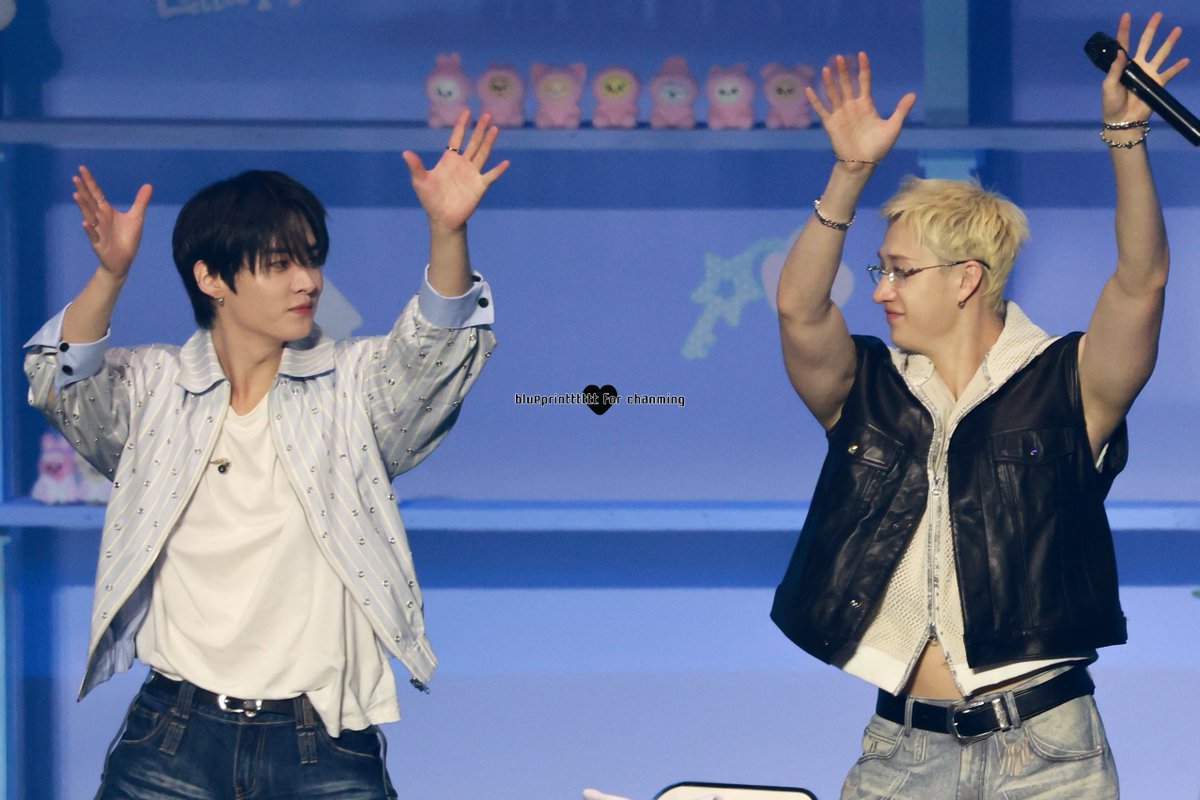 청사진 tweet media