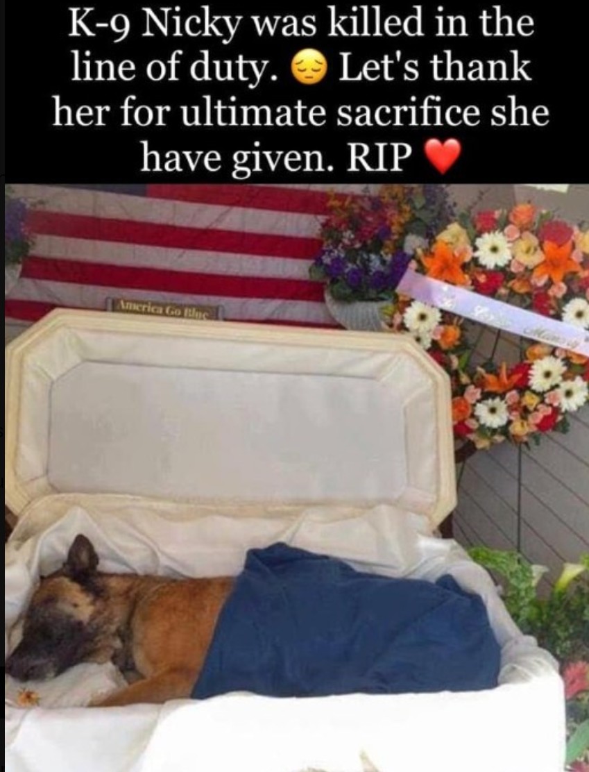 t4hrts's tweet image. 