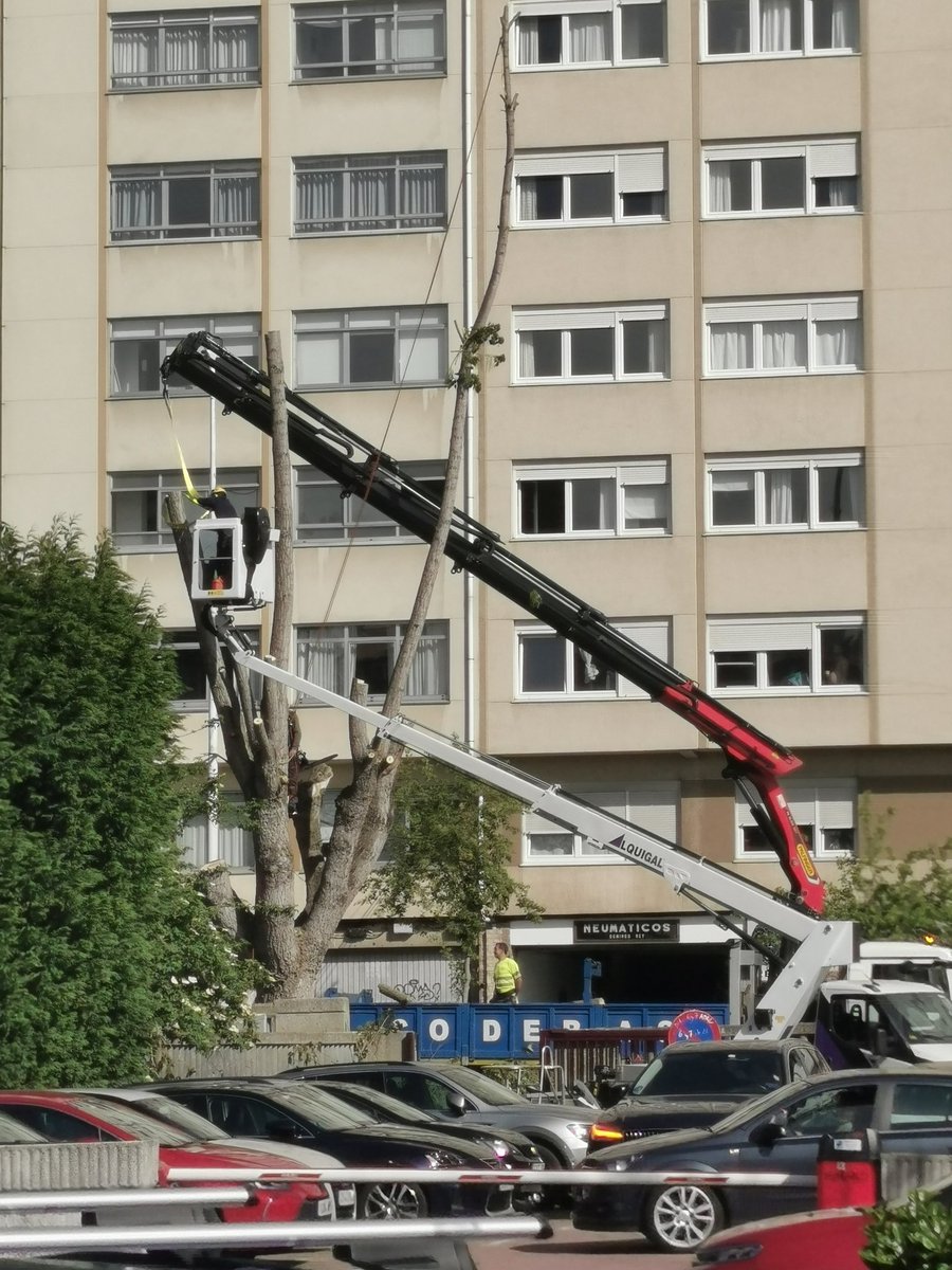 EduliusDeMorouzos*! tweet media