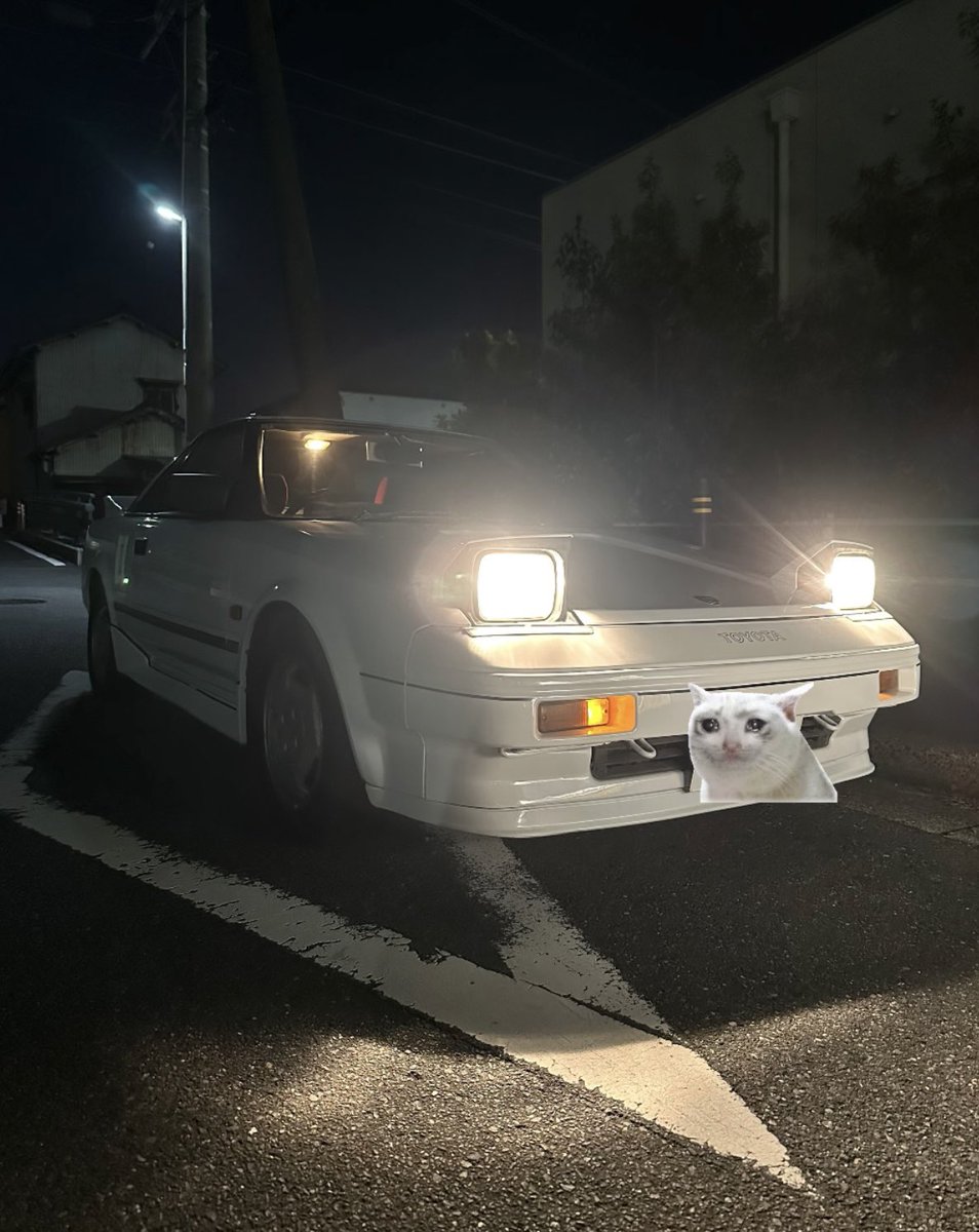 ＢＵＮＪＩ tweet media