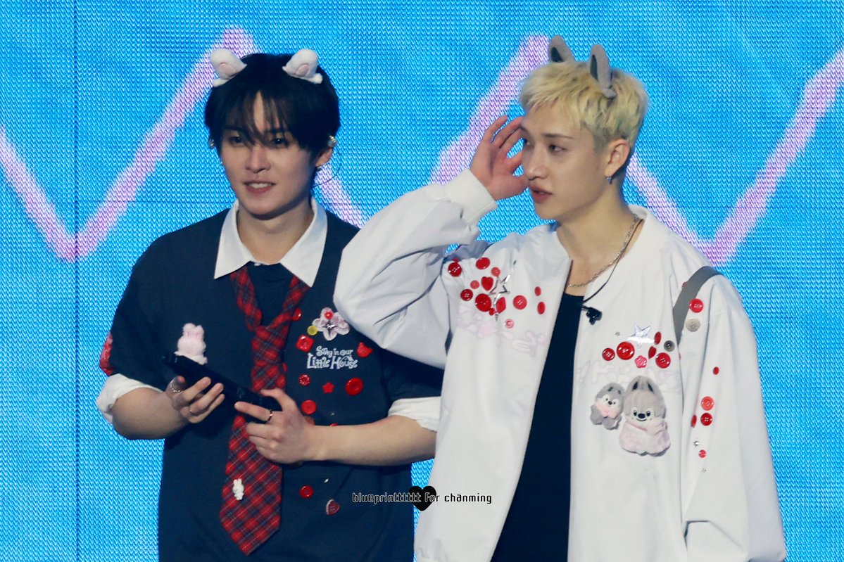 청사진 tweet media