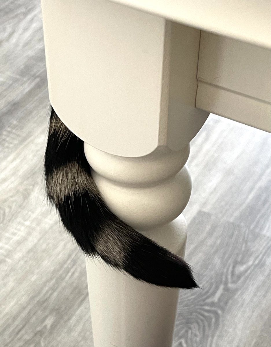 Ness 🦋 tweet media