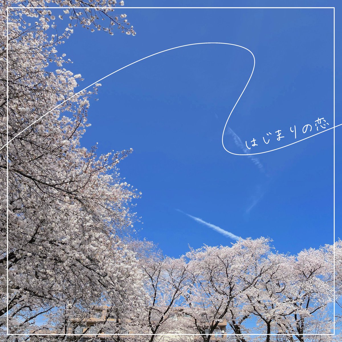 ちゃんぷるず tweet media