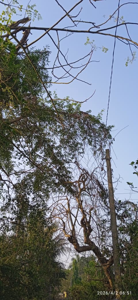 Prasant Naik tweet media