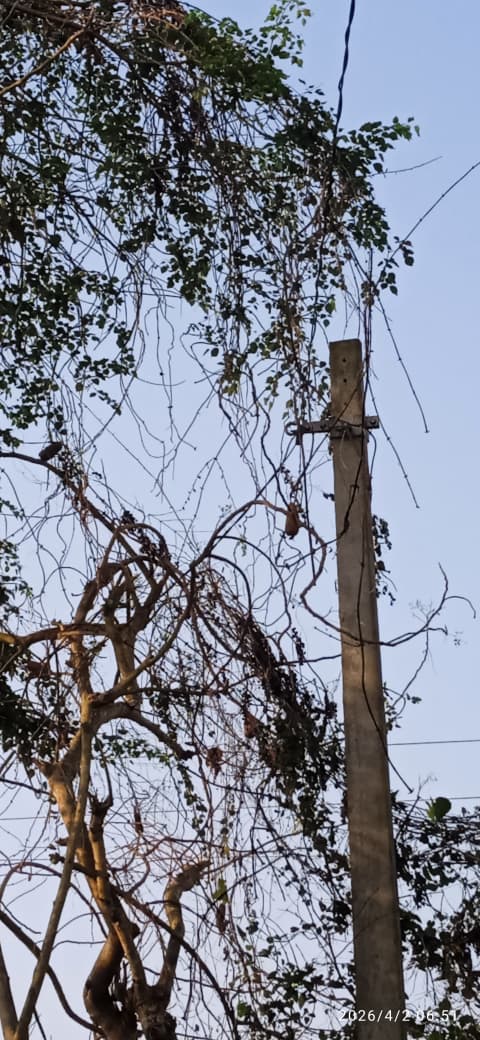 Prasant Naik tweet media