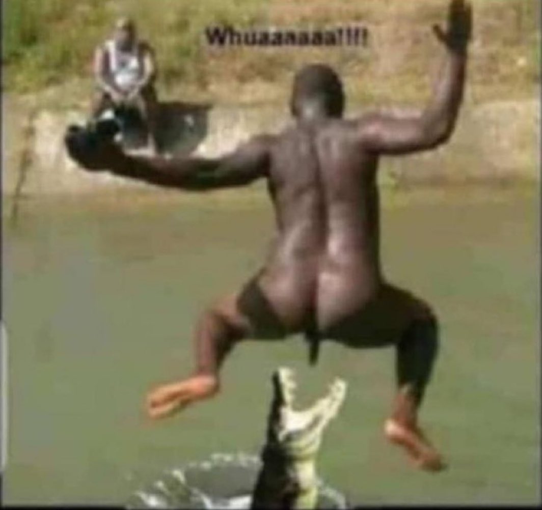 Dóuglas Fir🗽 tweet media