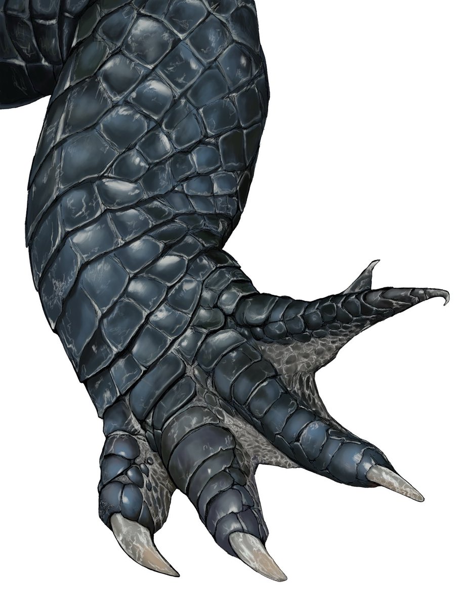 ぺこそん tweet media