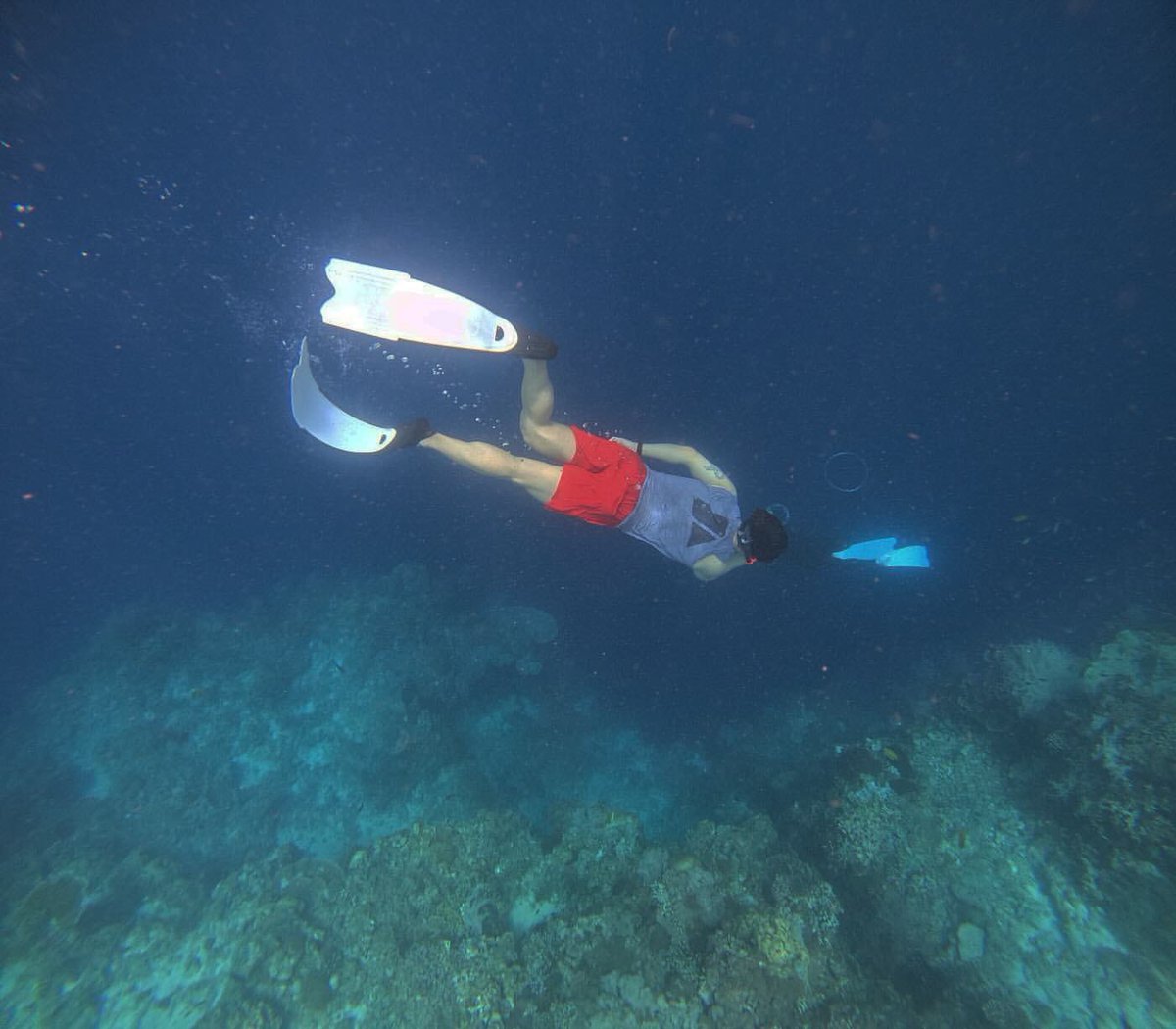 연호랑 tweet media