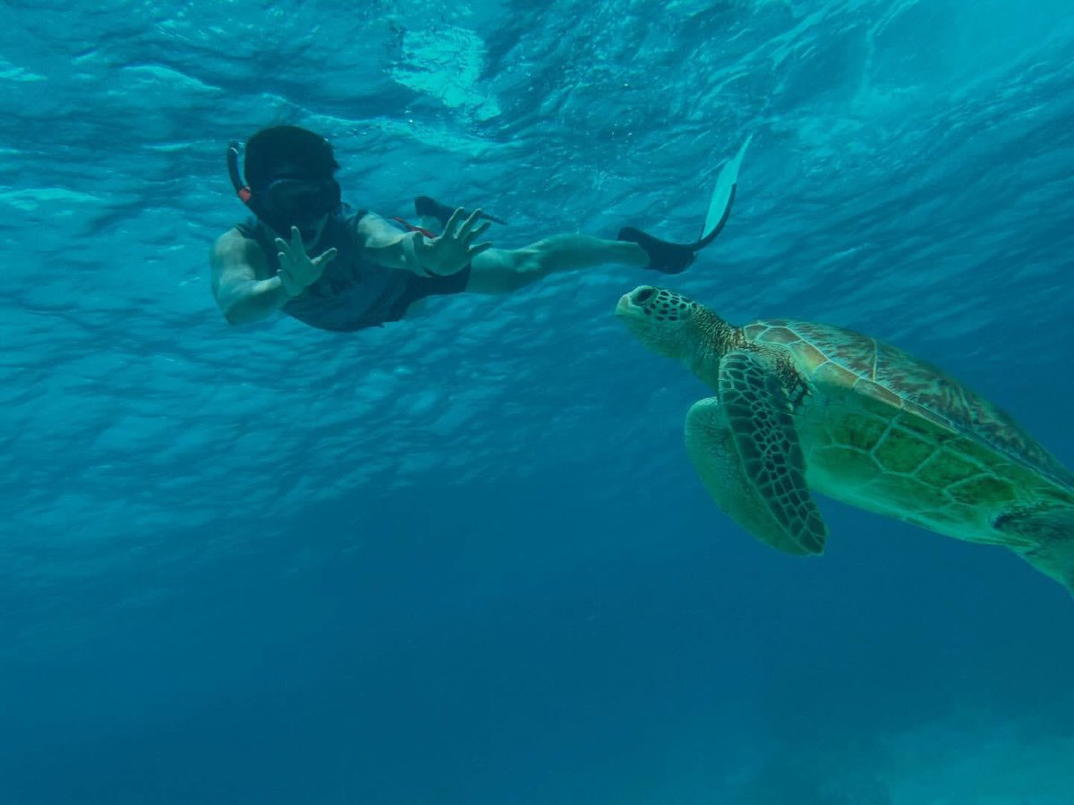 연호랑 tweet media