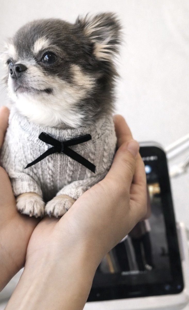 ゆた🥂🎸 tweet media