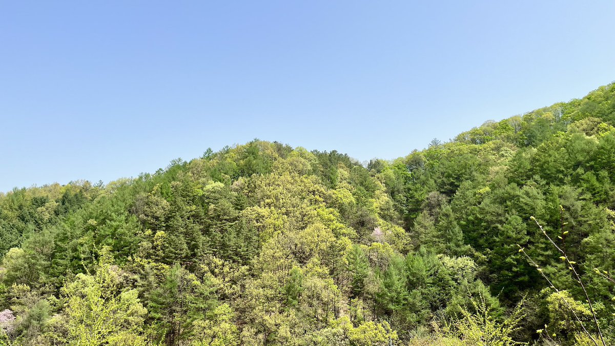 국립산림과학원 tweet media