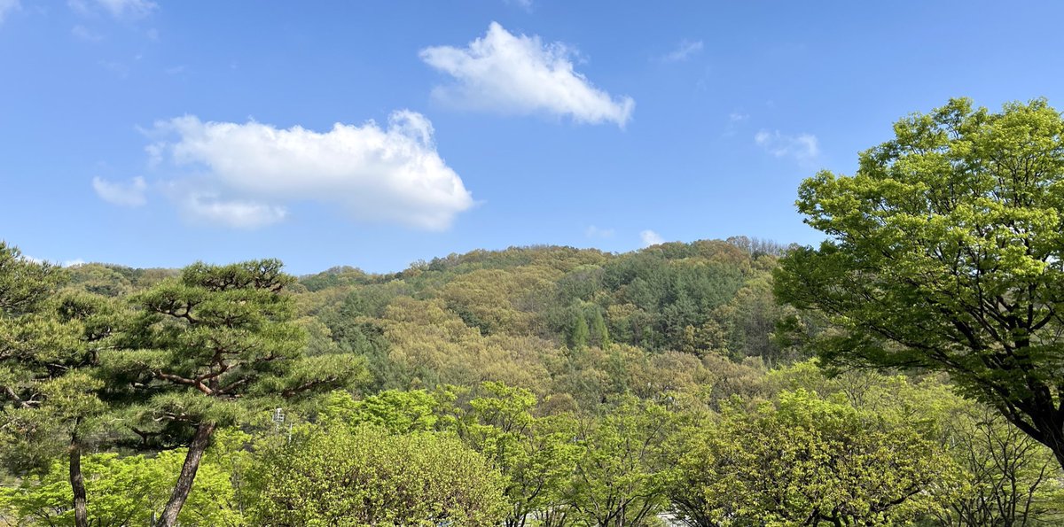 국립산림과학원 tweet media