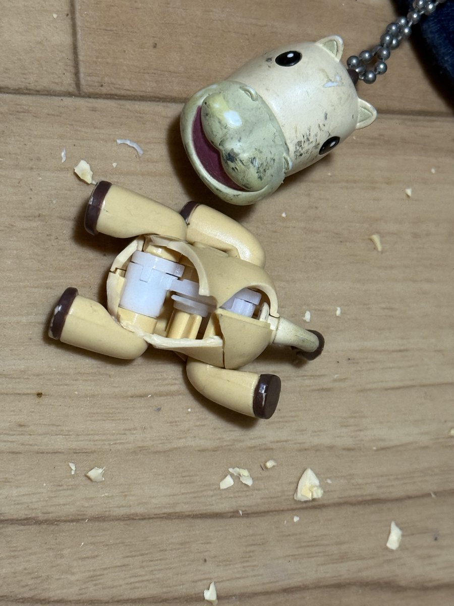 ぺっこりさん🐾🍌 tweet media