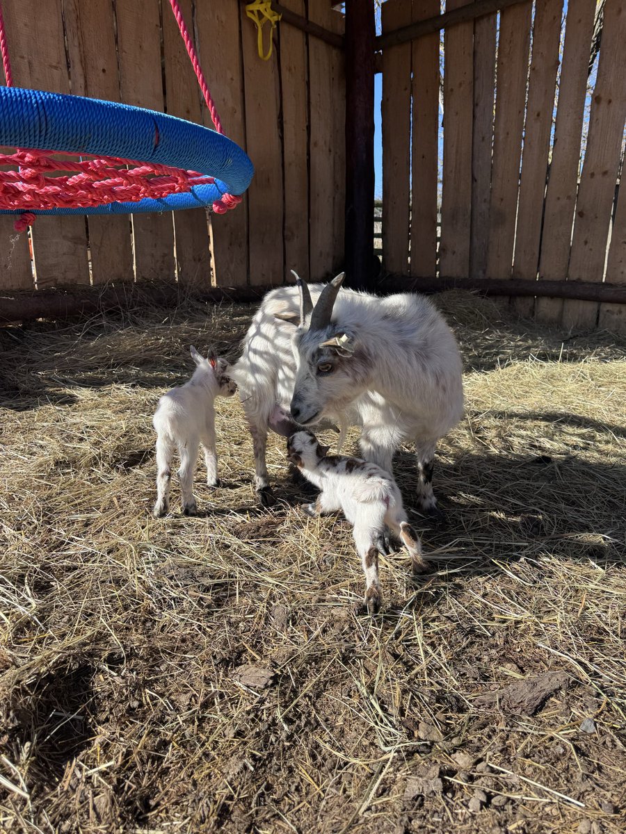 Hubert S. tweet media