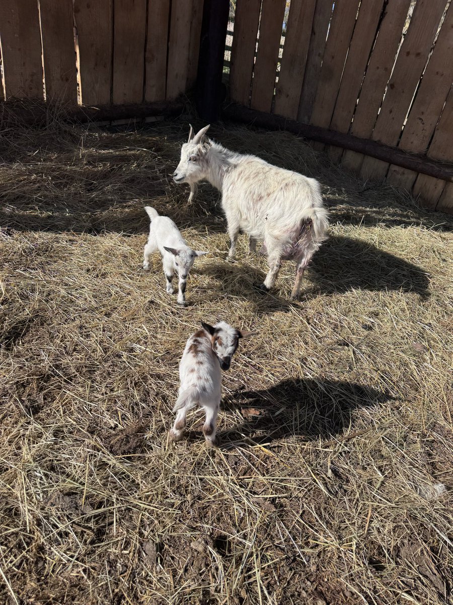 Hubert S. tweet media