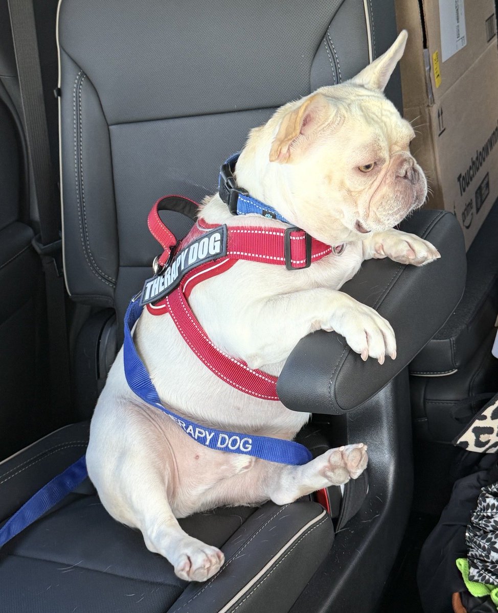 UCFMayor tweet media