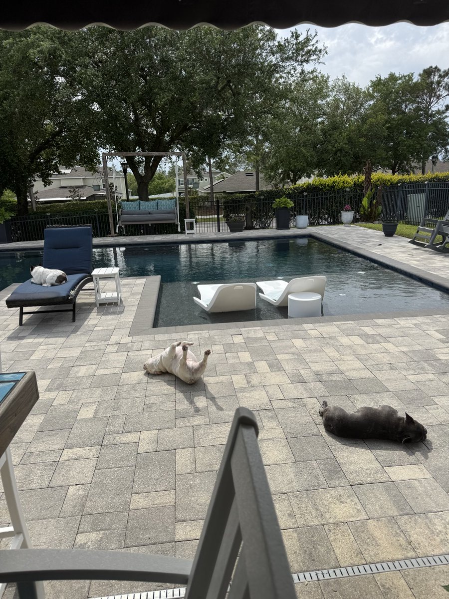 UCFMayor tweet media