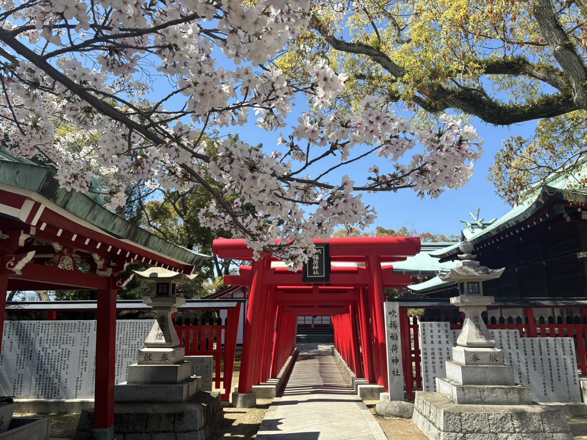 satosukeeeee's tweet photo. 今治の街を歩いて今治港まで行ってみる
まだ街は眠りの中なのかな？
すごい静かでした
今治港で瀬戸内の海を眺め今治城へ
今治城を見学しセンスの良い写真を撮って名物の焼豚玉子飯をいただきました
城は門の分厚さと梁の太さが毎回気になる年頃
城はいいよな
うんうん
松山まで戻るか https://t.co/RGmp929yCB
