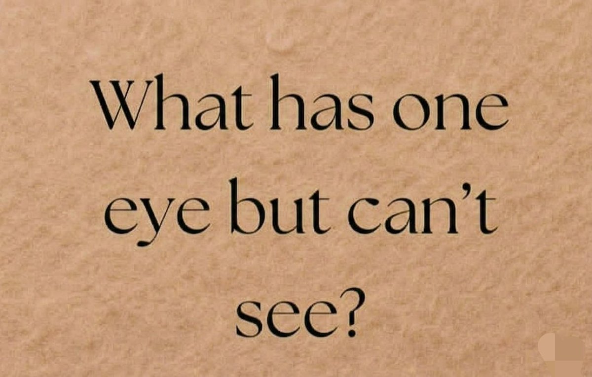 IQ with Aleena tweet media