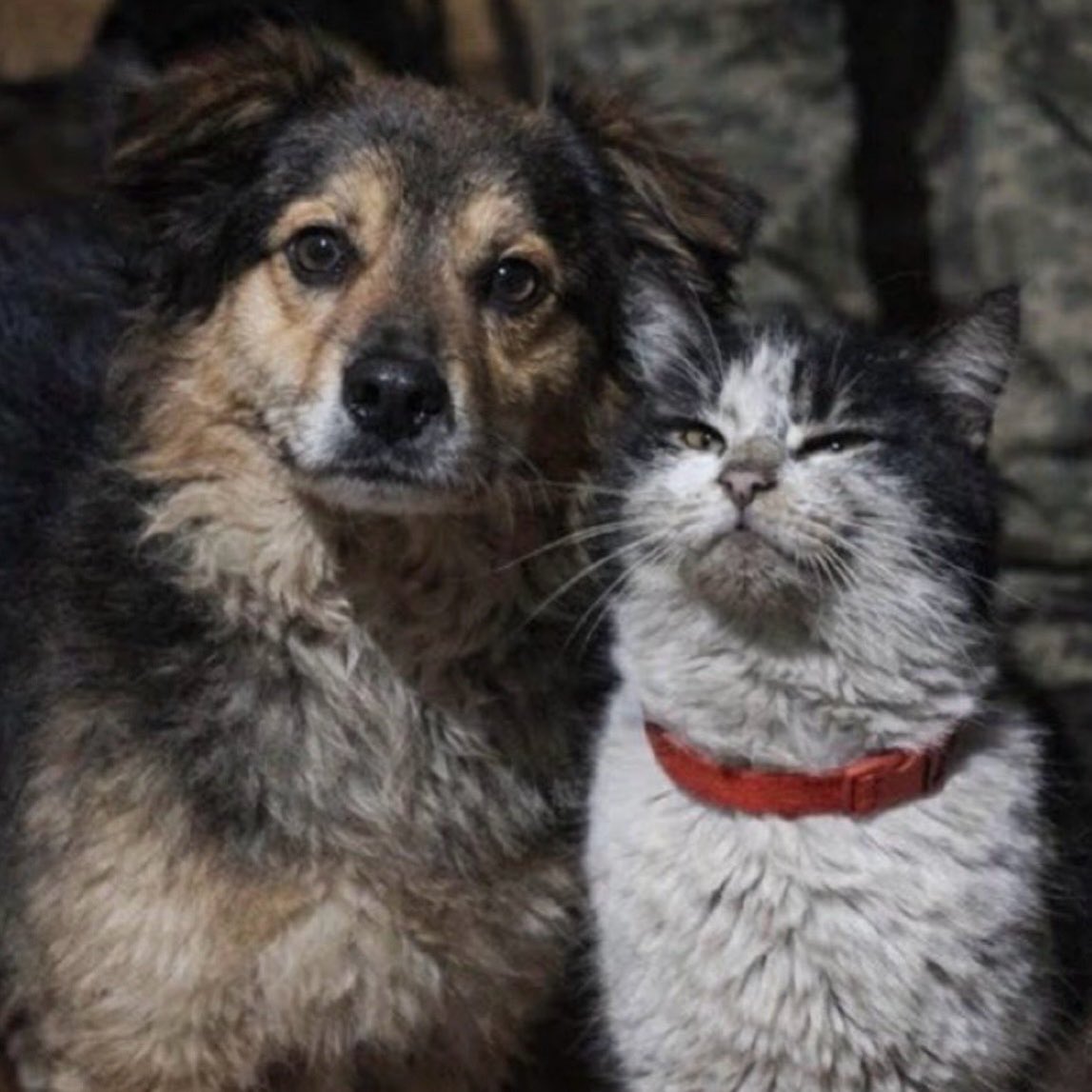 Inga Spriņķe tweet media