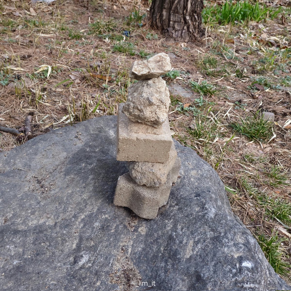 림잇 🌱 tweet media