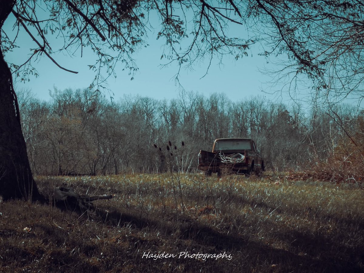 Hayden Photography tweet media