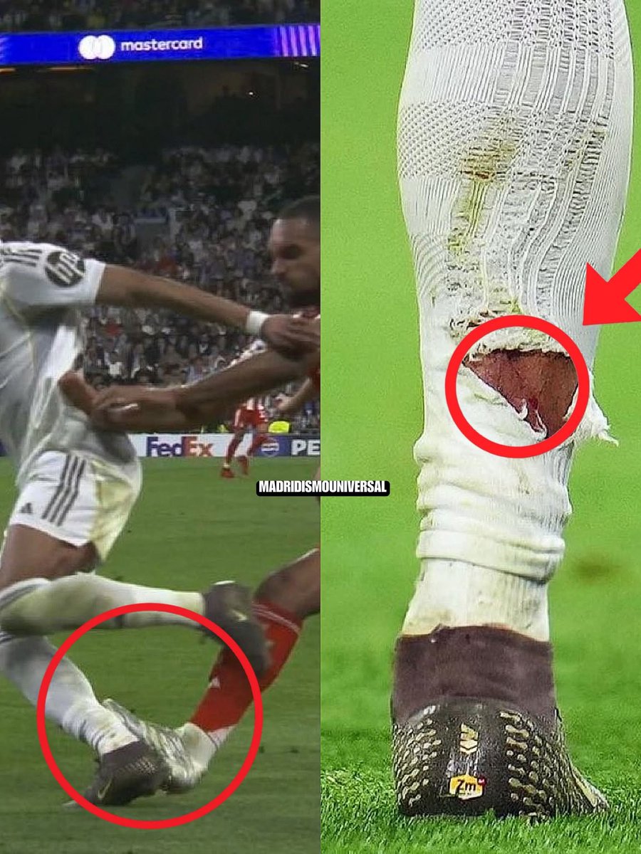 Blanca Vikinga tweet media