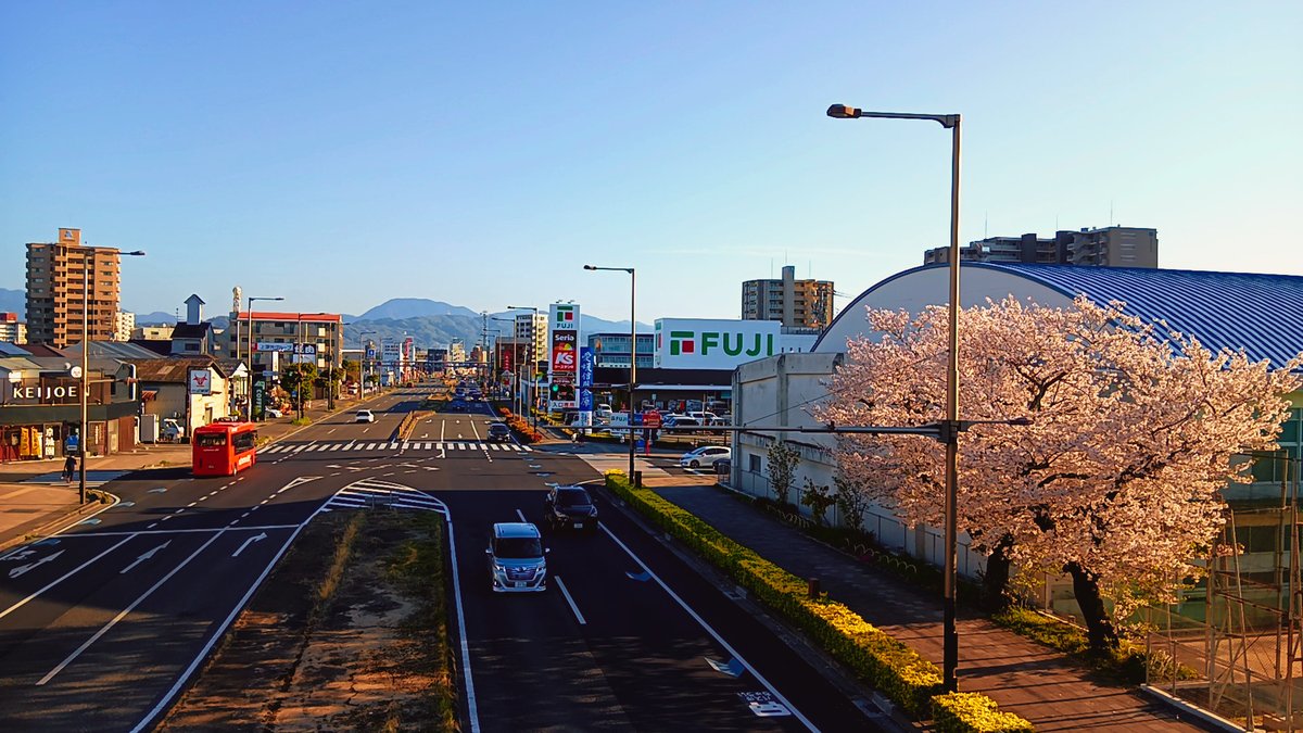 よ~しくん 🍊💁♂️🐟 main tweet media