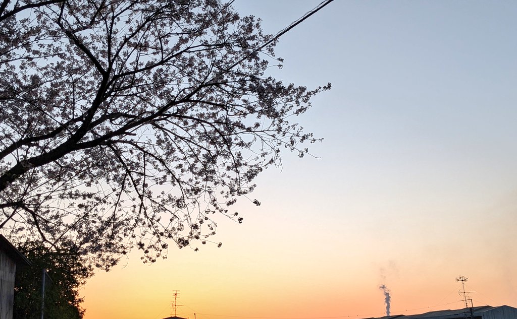 OMOっさん💃 tweet media