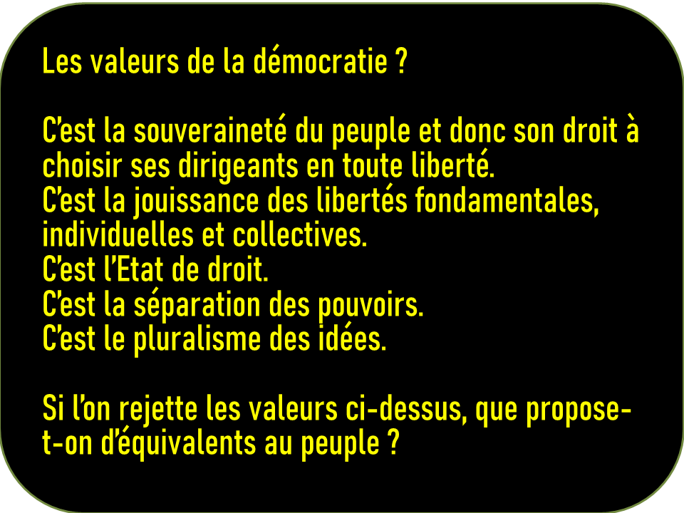 nathanielolymp's tweet photo. La plus terrible réussite des dictateurs ces dernières décennies en Afrique, est d’avoir fait croire à une partie de la jeunesse que la démocratie est anti-africaine. https://t.co/vPpsEn24ml