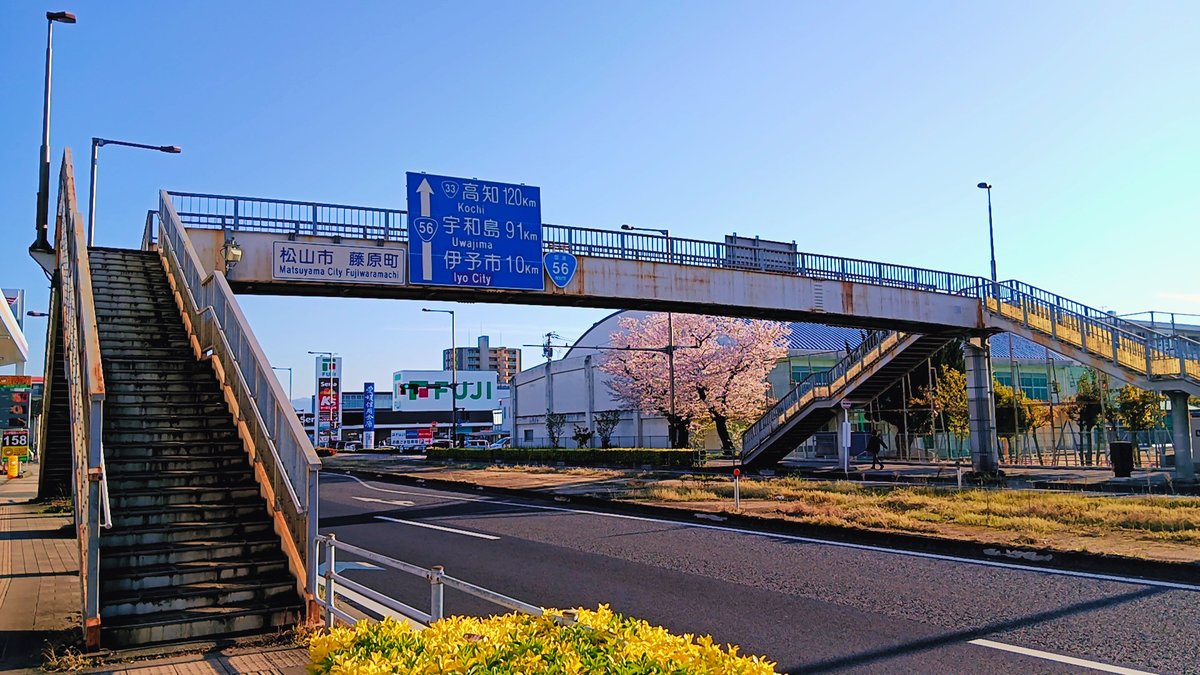 よ~しくん 🍊💁♂️🐟 main tweet media