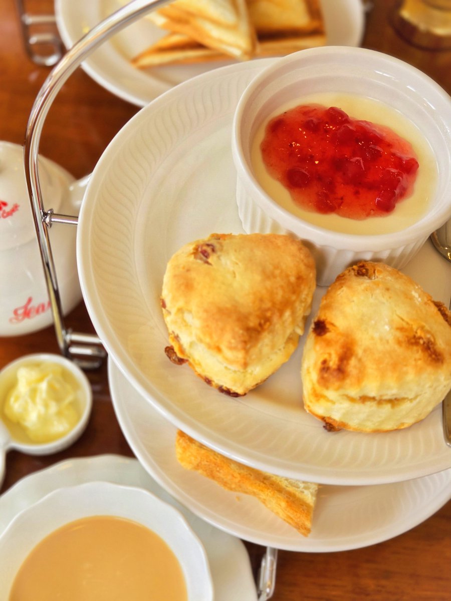 まおすけ tweet media