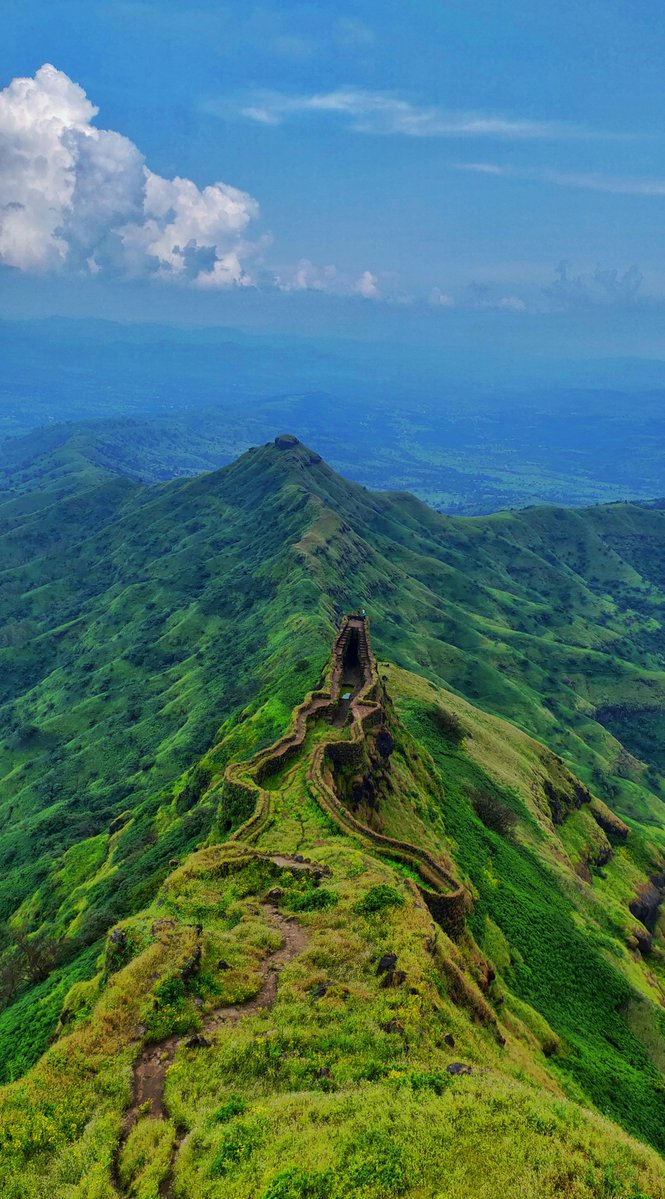 miraculousearth's tweet image. 📷 Photo 253:
📍Torna, India

Is there any color more refreshing than this vibrant shade of green? 
#India #Travel #Earth