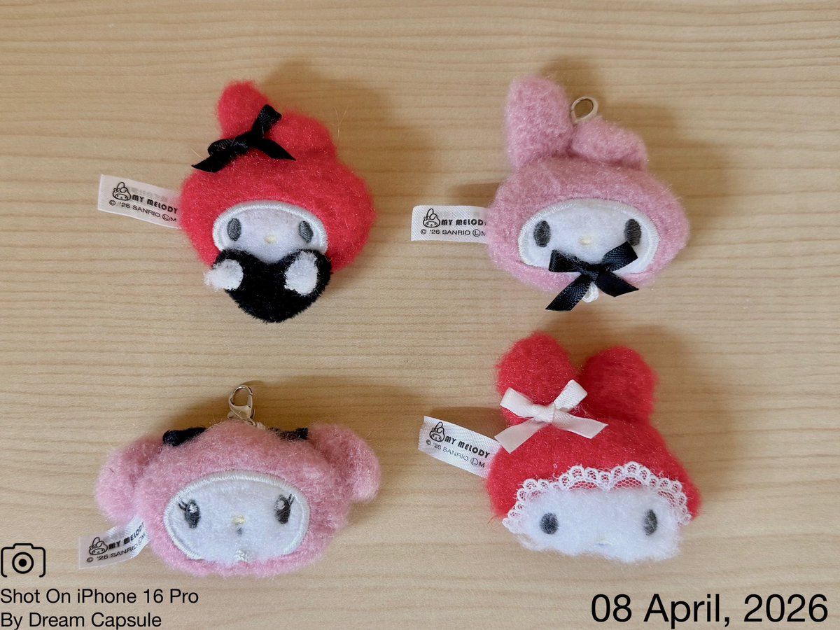 ドリームカプセルの中の人【公式】 tweet media