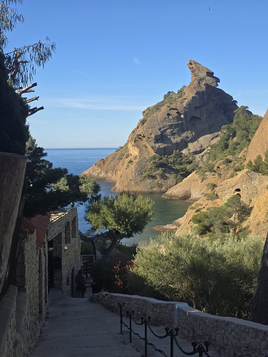 extrêmement vivant tweet media