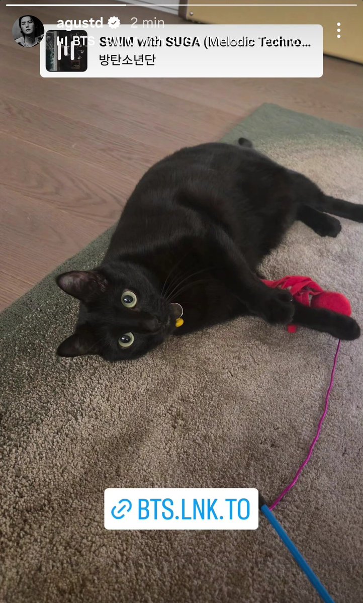 슙국. 🥢 tweet media