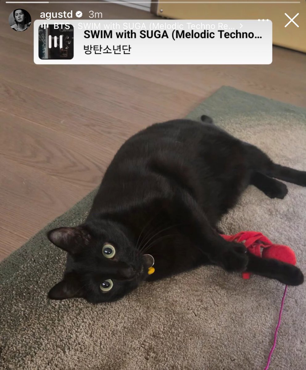 K⁷ | ⊙⊝⊜ tweet media