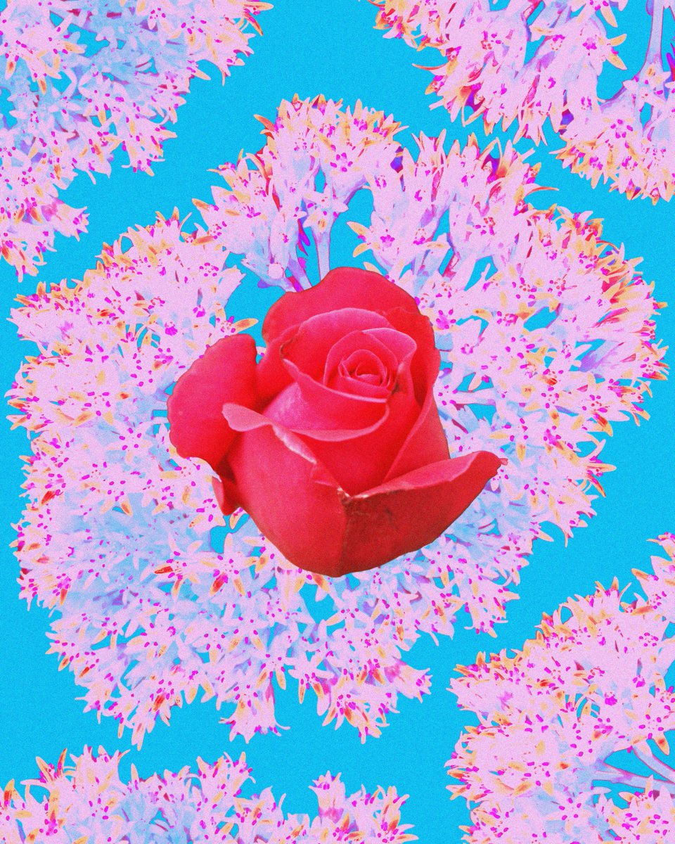 lambthecreator's tweet photo. @CozomoMedici @rollbit @BAIRE_XV 𝐥𝐢𝐟𝐞 𝐢𝐬 𝐛𝐮𝐭 𝐚 𝐝𝐫𝐞𝐚𝐦

Lamb, Digital Mixed Media, 4000x5000px
16 March 2024.

https://t.co/DcXaikJi61

with unconditional love,
Reece https://t.co/iN5XTFIpIu
