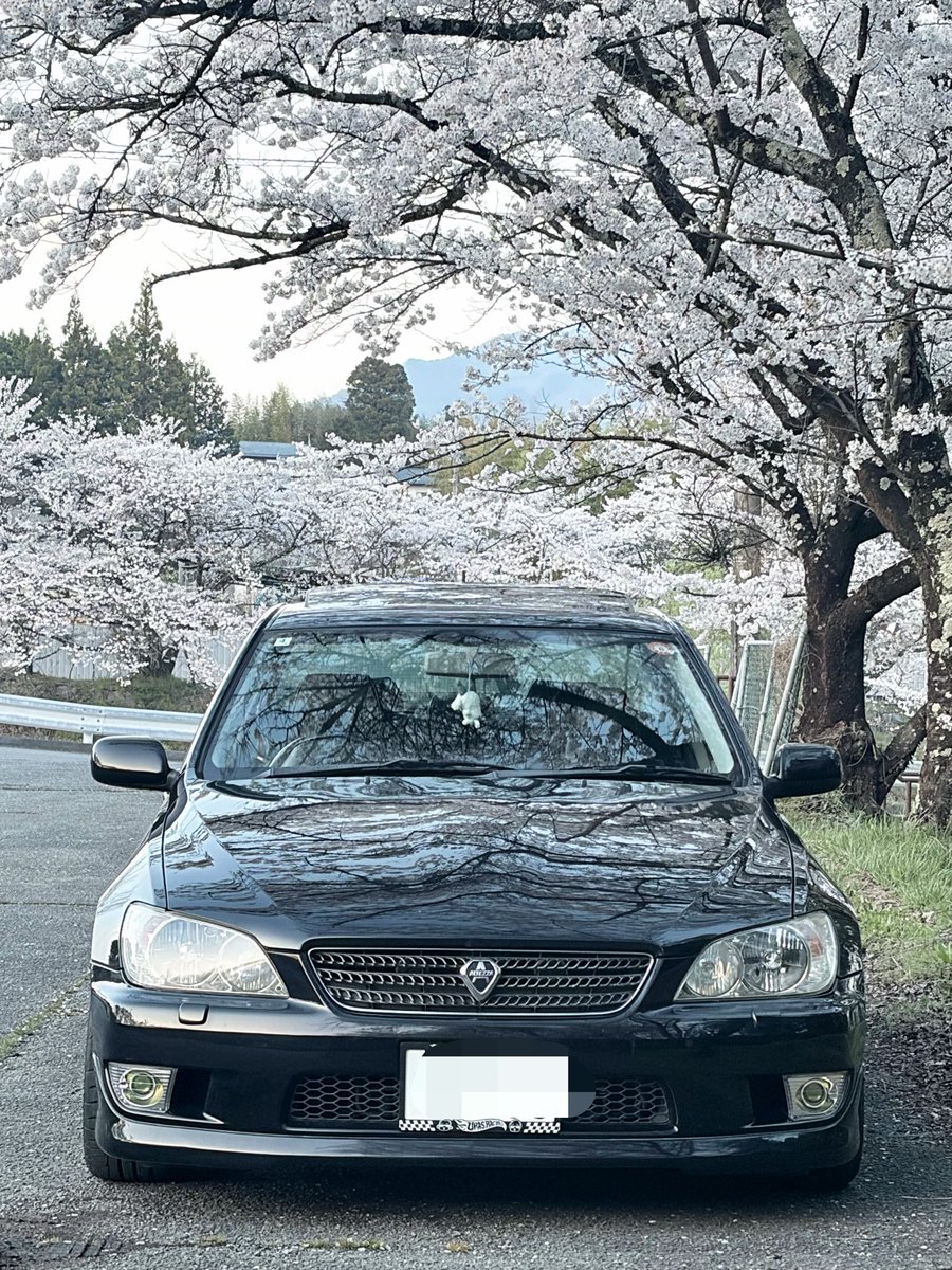 𝓐𝔂𝓪🐼🐾 tweet media