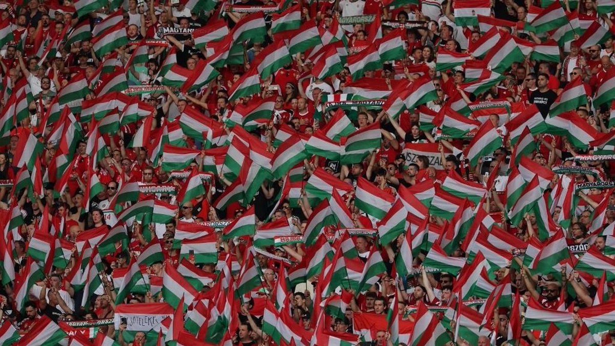 Katalin Dani tweet media